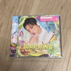 ONE N’ ONLY WARAiNA HAYATO 高尾颯斗 ソロ トレカ入り