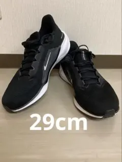 ナイキ　ペガサス41 エクストラワイド