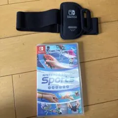 nintendo switch sports