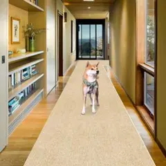 Item thumbnail for item 8a650f5d-874b-4d0d-8e9f-79ac86a3de3a