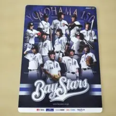 【当時物】2009年 横浜ベイスターズ 下敷き（選手名鑑／横浜開港150周年）