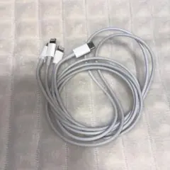 USB-C Lightning 充電ケーブル iPhone 純正 2本セット
