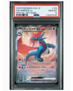2025 ポケモンカード ボーマンダex PSA 10 2025年最新】ボーマンダex psa10の人気アイテム - メルカリ