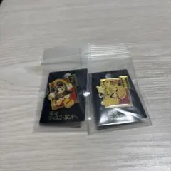 【レトロ】ディズニーランド ミッキー ドナルド　ピンバッチ2個セット