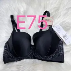 トリンプ 天使のブラ(R) スリムライン502 ブラジャー ブラック E75