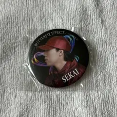 FANTASTICS ファンタ 世界 缶バッジ BUTTERFLY EFFECT