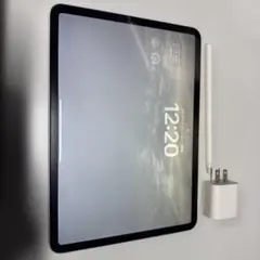 iPad Pro 11インチ256(第一世代)Apple pencil(第二)