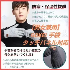 【男女兼用】GOKEI 手袋 スマホ対応 防寒 タッチパネル対応 ダークグレー