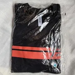隼駅まつり Tシャツのサムネイル