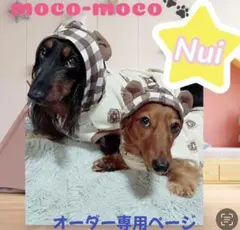 angelプロフ必読‪‪♡お得情報有り〼様専用♡⃛ちゃんちゃんこカエル図鑑