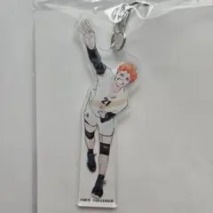 ★ラスト1点★ ハイキュー SVリーグ コラボ アクリル キーホルダー 日向翔陽