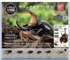 2025年最新】ダイコクコガネの人気アイテム - メルカリ