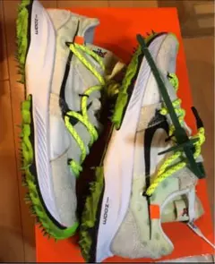 ナイキズームテラカイガー　5 24