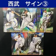 サイン　西武ライオンズ　カード　プロ野球チップス