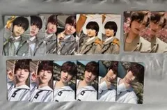 &TEAM EJ ウィジュ　トレカ14枚セット