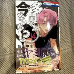 多聞くん今どっち！？ 14巻