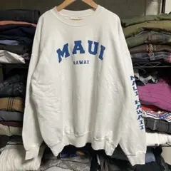 00sアメリカ古着Hanesヘインズ　スーベニア系プリント 長袖スウェットXL白