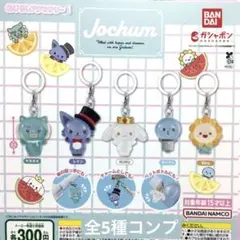 Jochumめじるしアクセサリー1★全5種コンプリート