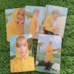 セブンティーン　トレカ　Heaven　ディノ