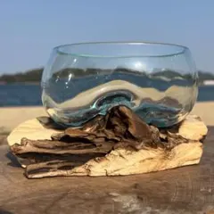 流木ガラスオブジェB15C 花瓶 金魚鉢 ガーデニング テラリウム 観賞魚 容器