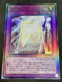 遊戯王 真の光 レリーフ