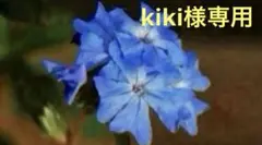 kiki様 リクエスト 2点 まとめ商品