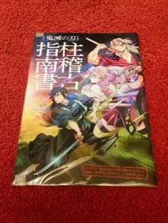 【美品】【11/24まで】劇場版 鬼滅の刃 入場特典 柱稽古指南書 パンフレット