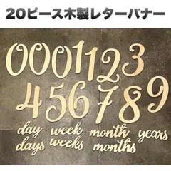 Item thumbnail for item 9766357d-eee1-4edc-8417-6e364f294a62