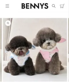 ウサギ耳付き犬服（小型犬用）ベニーズ　韓国ふわふわs