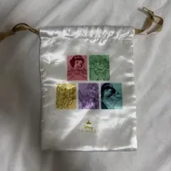 【新品・未使用】ディズニープリンセス サテンポーチ