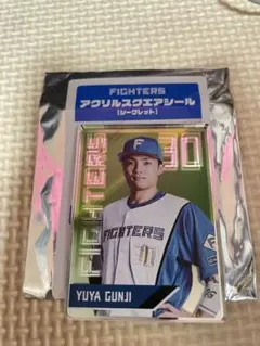 Item thumbnail for item c97db0e5-672c-48fc-9f13-a50e42fa3e86