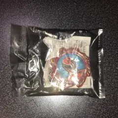 リュウセイ様 リクエスト 2点 まとめ商品