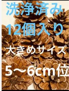 pearl様 リクエスト 2点 まとめ商品
