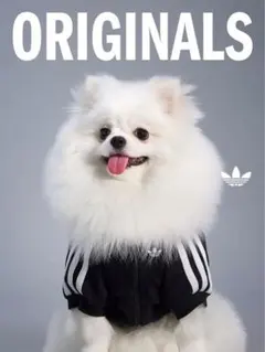 Adidasアルゼンチン代表 ペットユニフォーム入手困難モデS サイズ
