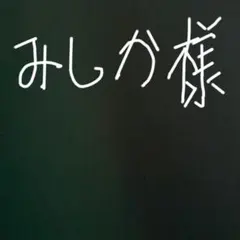 みしか様専用ページ