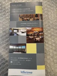 西武ホールディングス 株主優待冊子 2025年11月発行 300〜499株向け