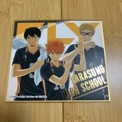 ハイキュー!! 烏野高校　色紙 約10cm