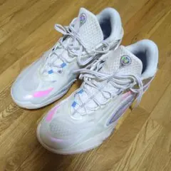 wade lining リーニン 808 5 バッシュ US7.5 25cm - メルカリ