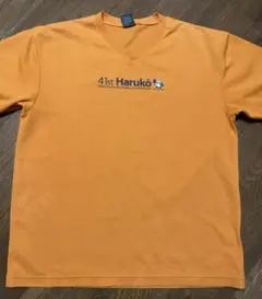 Item thumbnail for item e6a8b6f6-1b41-49e0-8272-7e0ad9142da9