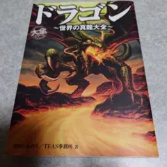 s*p様 ドラゴンスレイヤー ロールプレイングゲームブック - メルカリ
