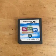 ぼくとシムのまち Nintendo DS