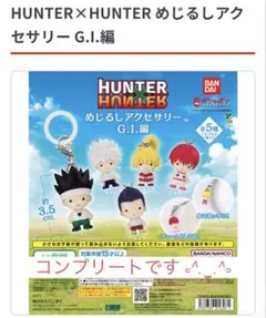 HUNTER×HUNTER めじるしアクセサリー G.I.編