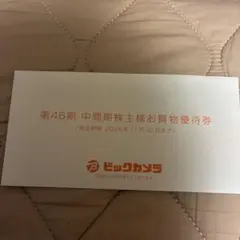 ビックカメラ　6000円分