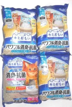 Item thumbnail for item 31cbe514-4b57-439f-b3b6-3f92b457e26c