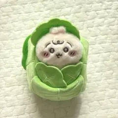 ちいかわ　ちいかわベビー　キャベツ　マスコット　うさぎ
