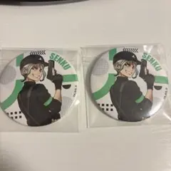 Dr.stone　石神千空　缶バッジ　きゃらどり　2個