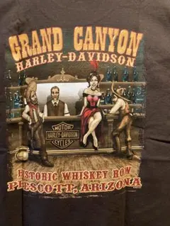 新品未使用Harley-Davidson Tシャツ M純正のサムネイル
