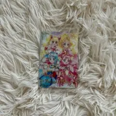 プリキュア ウエハース フレッシュ プリンセス ひろがるスカイ わんだふる