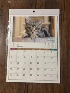 Item thumbnail for item a5623bf1-3dcb-4685-8e19-8d3334d3f6bb