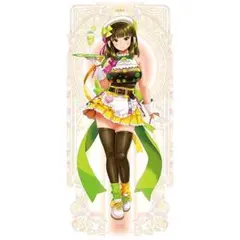 beatmania ⅱdx 等身大タペストリー 800×1830　イロハ　リリナ ビートマニア IIDX タペストリー 2種セット イロハ リリナ - メルカリ